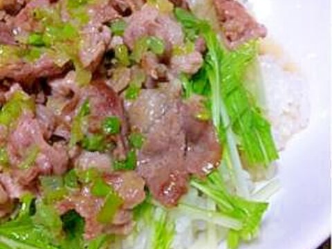 簡単☆ネギ塩豚丼